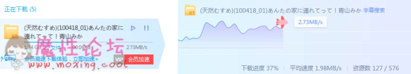 迅雷测速.PNG